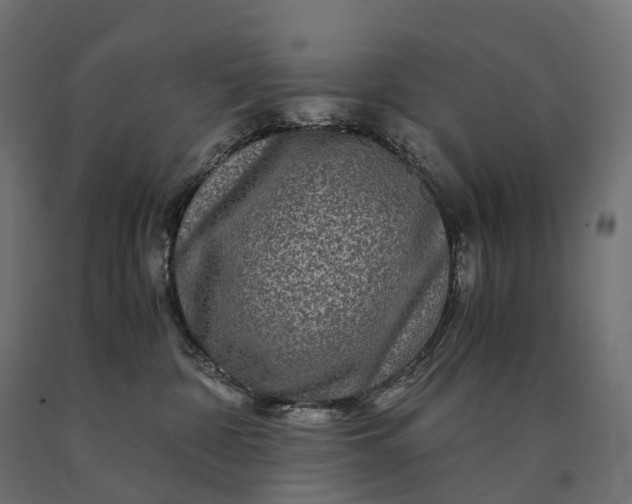 X0000090760332200708031636