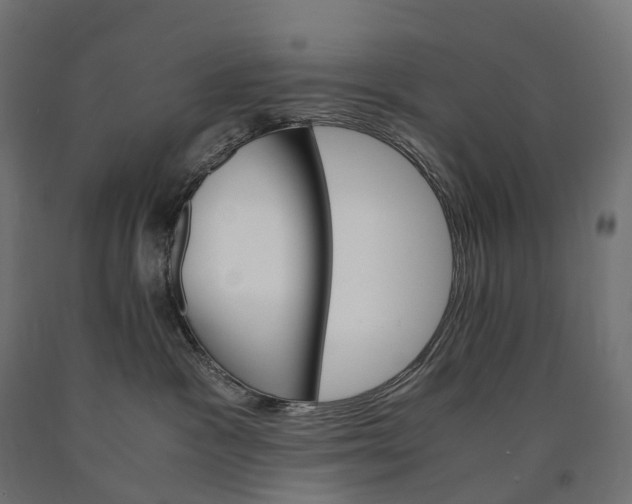 X0000090760333200708031636