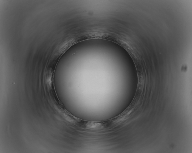 X0000090760334200708031636