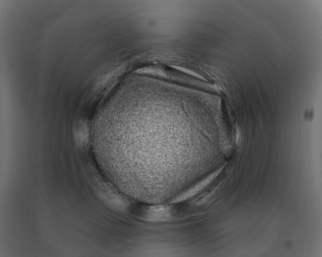 X0000090760335200708031636