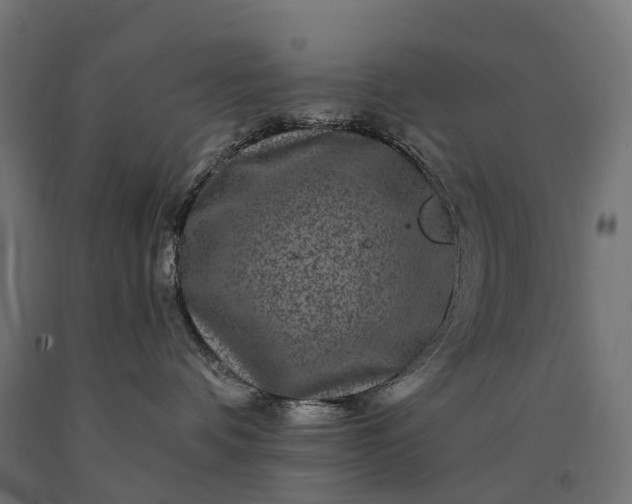 X0000090760336200708031636