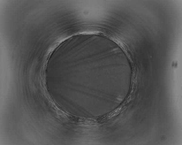 X0000090760337200708031635