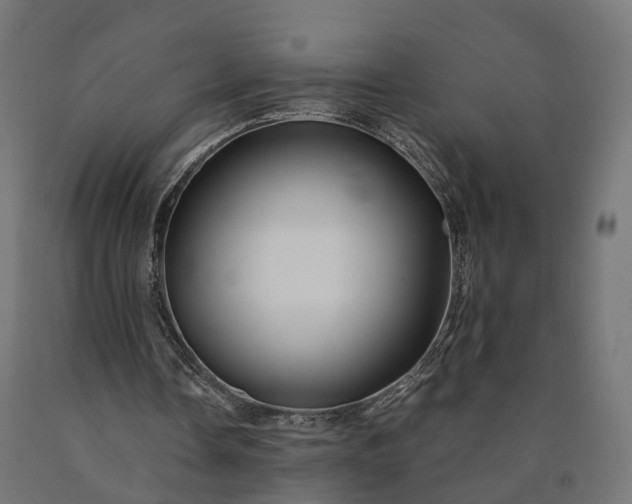 X0000090760338200708031635