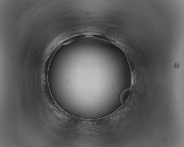 X0000090760339200708031635