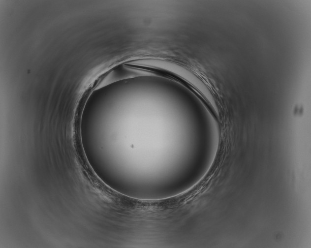 X0000090760340200708031635