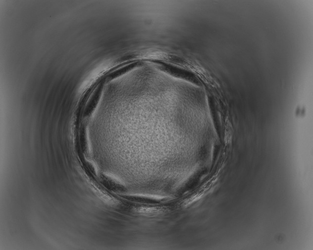 X0000090760341200708031635