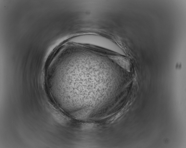 X0000090760342200708031635