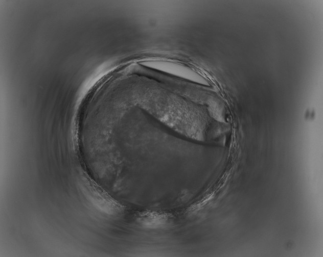 X0000090760343200708031635