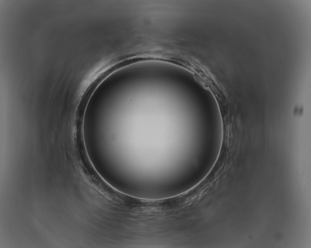 X0000090760344200708031635