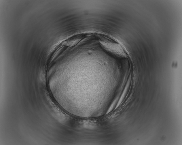 X0000090760345200708031635