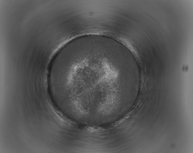 X0000090760346200708031635