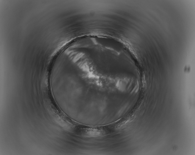 X0000090760347200708031635