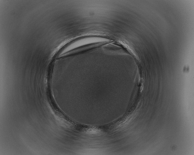 X0000090760348200708031635