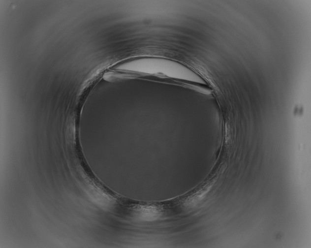 X0000090760349200708031635