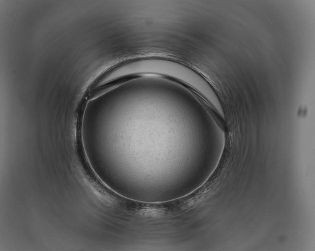 X0000090760350200708031635