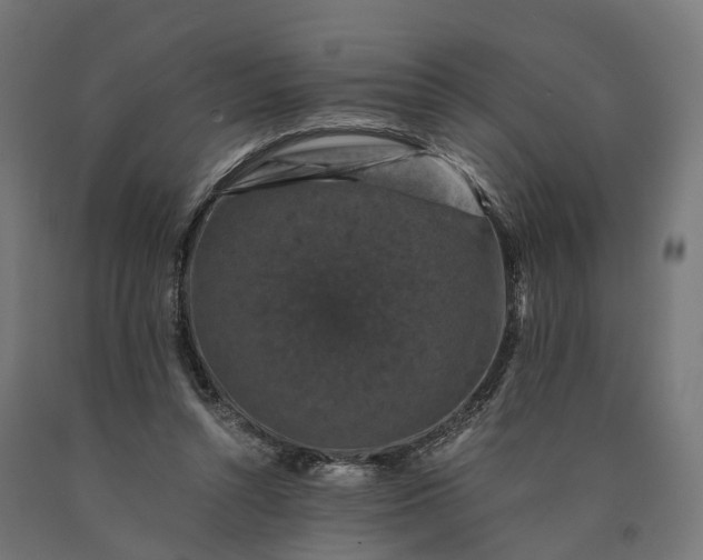 X0000090760352200708031635