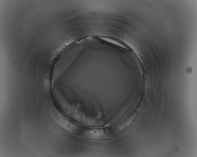 X0000090760353200708031635