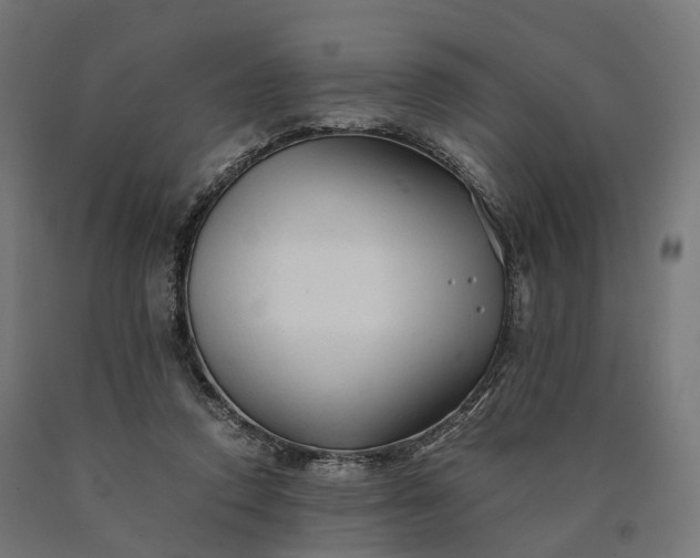 X0000090760354200708031635