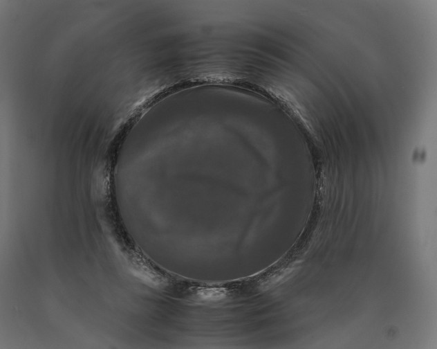 X0000090760355200708031635