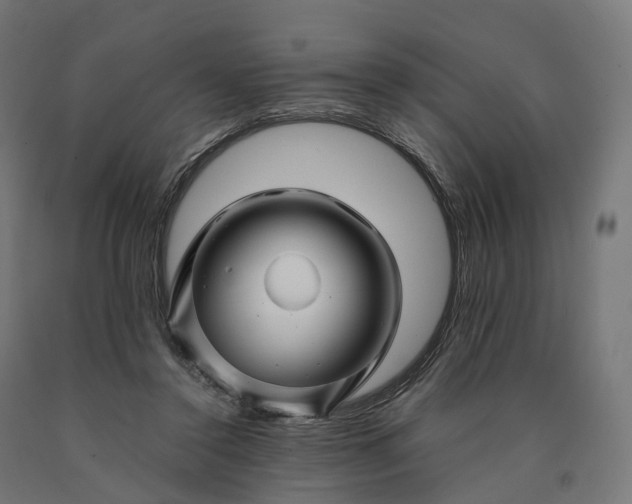 X0000090760356200708031635