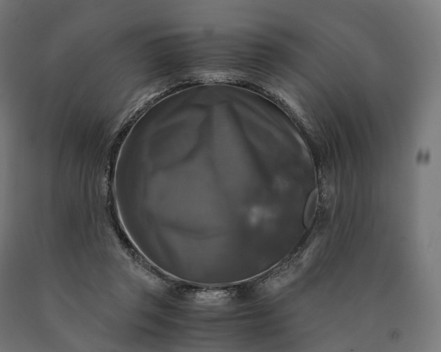 X0000090760357200708031635