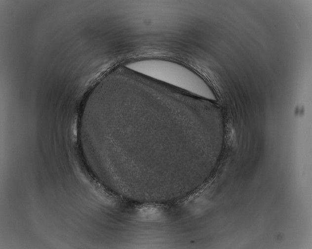 X0000090760358200708031635