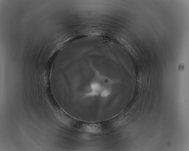 X0000090760359200708031635