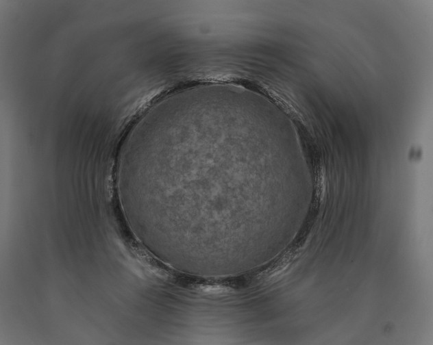 X0000090760360200708031635