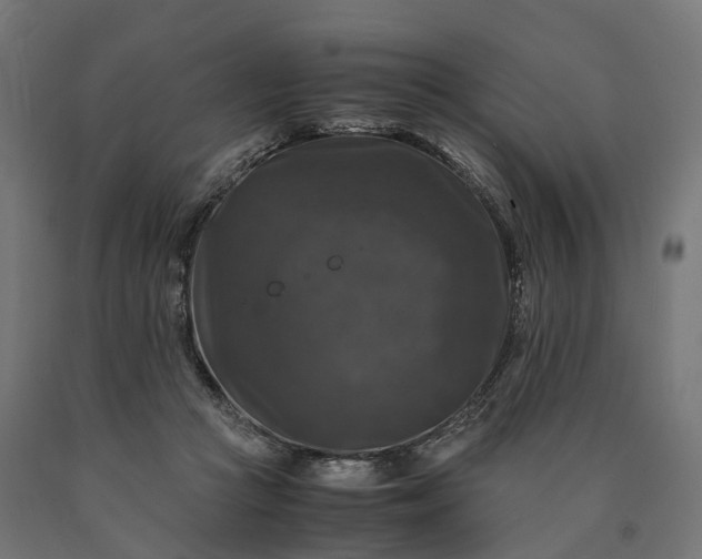 X0000090760361200708031635