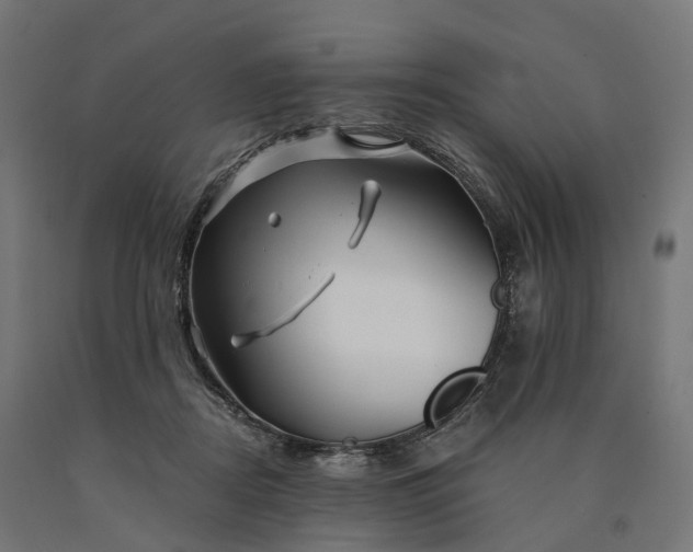 X0000090760362200708031635