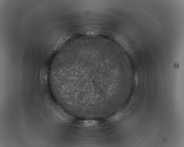 X0000090760363200708031635