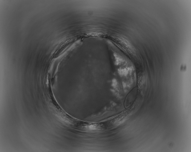 X0000090760365200708031635