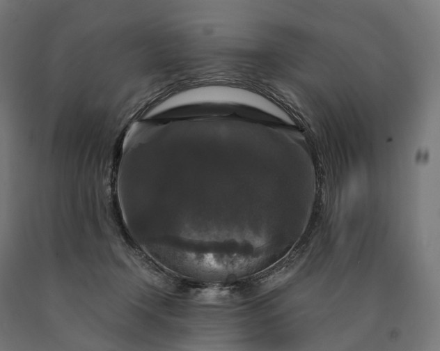 X0000090760366200708031635