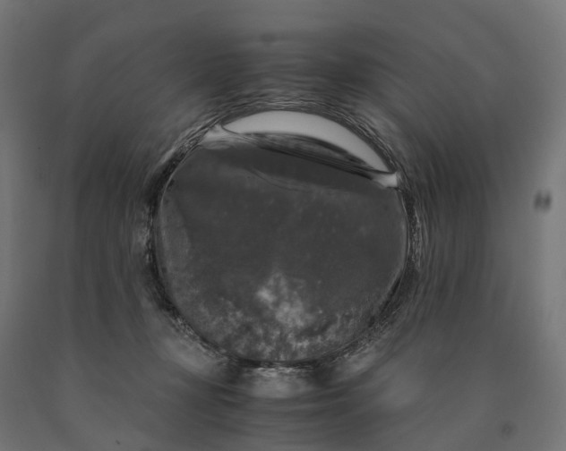 X0000090760367200708031635