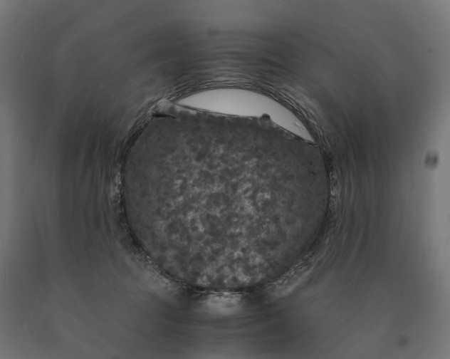 X0000090760369200708031635