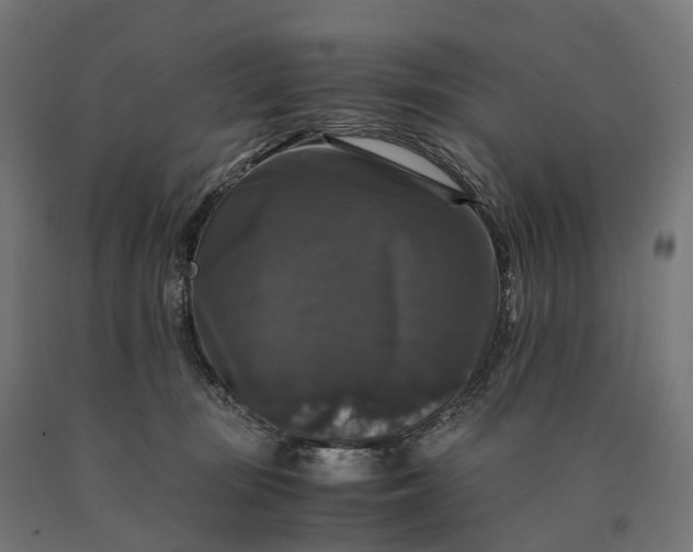 X0000090760371200708031635