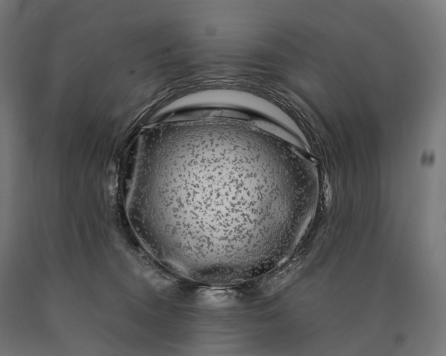 X0000090760372200708031635