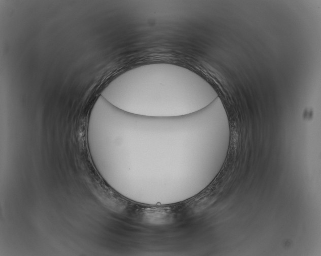 X0000090760373200708031635