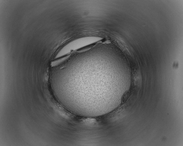 X0000090760374200708031635