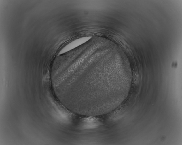 X0000090760375200708031635