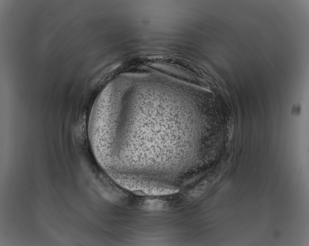 X0000090760376200708031635