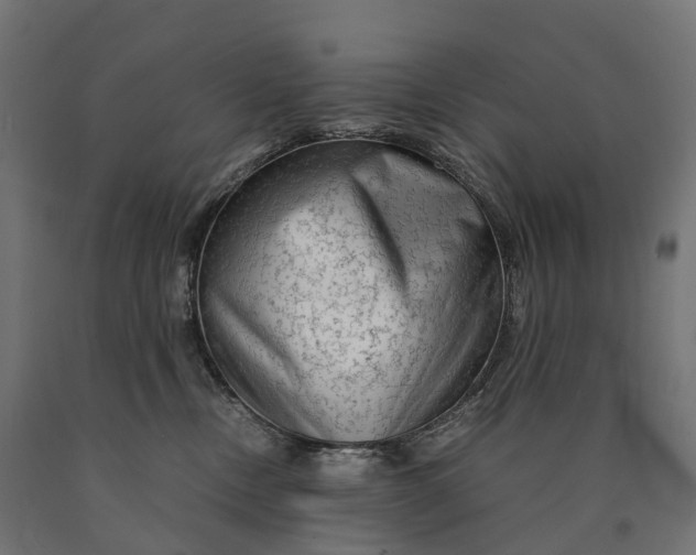 X0000090760378200708031635