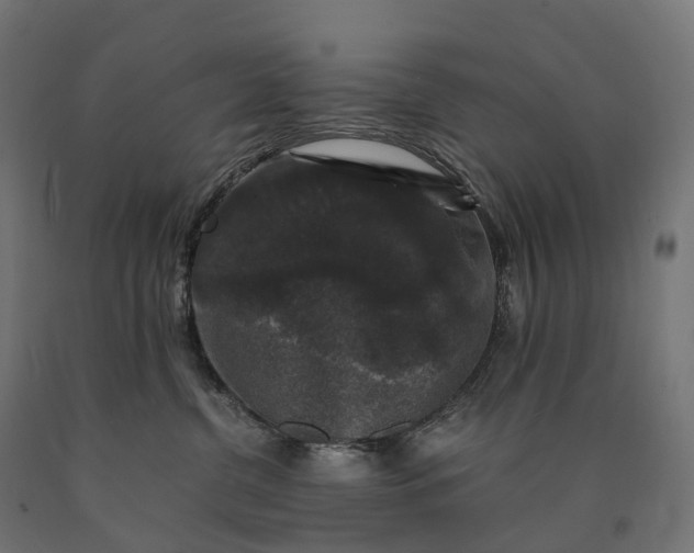 X0000090760380200708031635