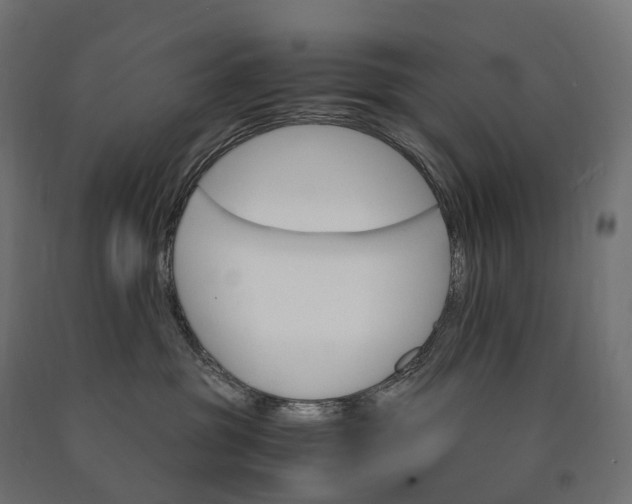 X0000090760381200708031636