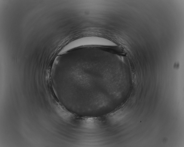 X0000090760382200708031636