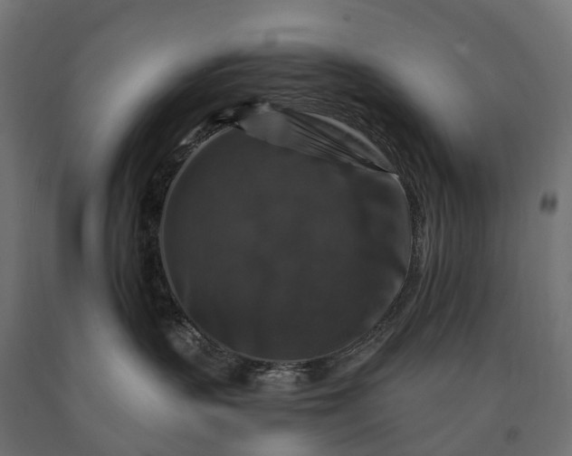 X0000090760383200708031636