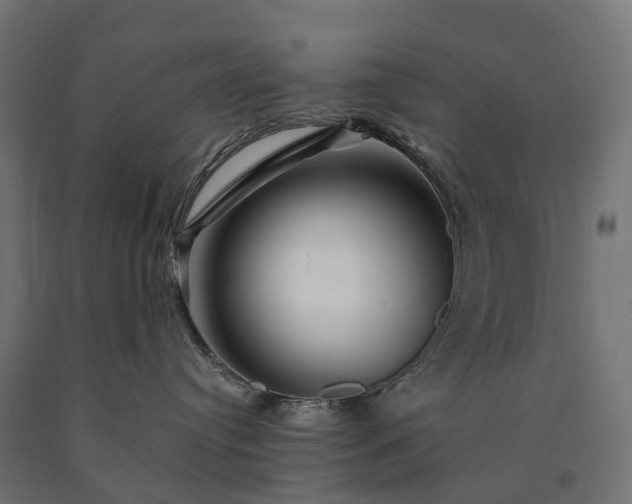 X0000090760384200708031636