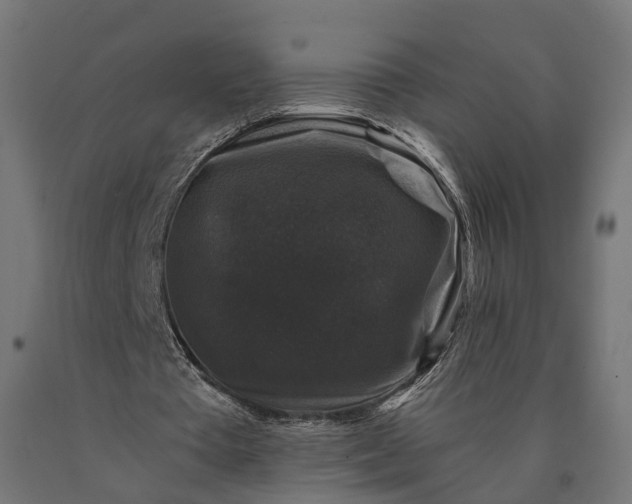 X0000090760385200708031635