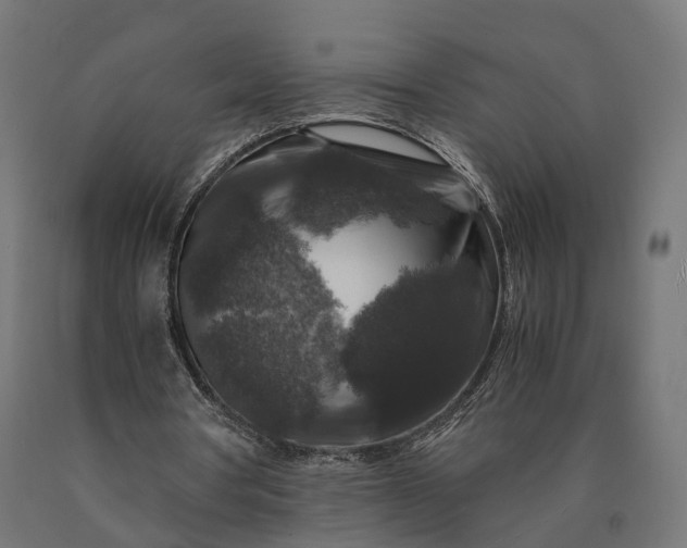 X0000090760386200708031635