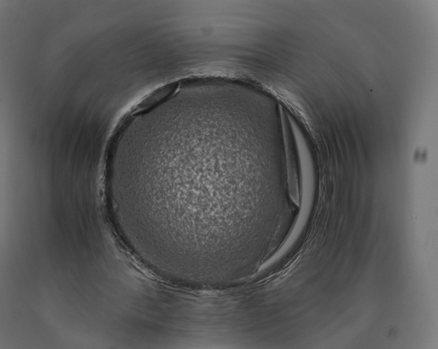 X0000090760388200708031635